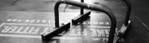 Parallette_slider